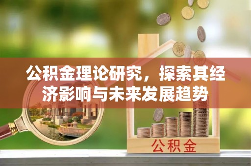 美浓公积金理论研究，探索其经济影响与未来发展趋势