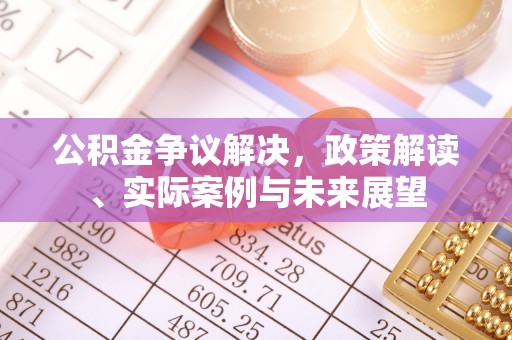 美浓公积金争议解决，政策解读、实际案例与未来展望
