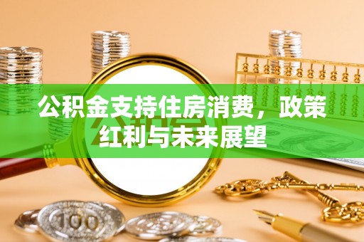 美浓公积金支持住房消费，政策红利与未来展望