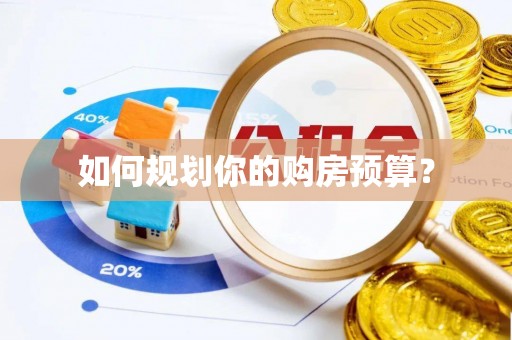 美浓如何规划你的购房预算？