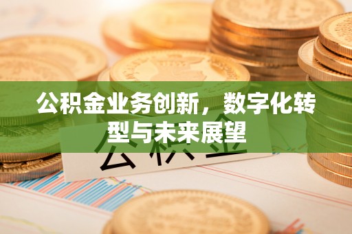 美浓公积金业务创新，数字化转型与未来展望