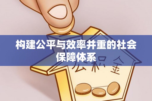 美浓构建公平与效率并重的社会保障体系
