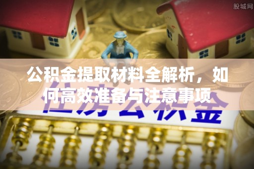 美浓公积金提取材料全解析，如何高效准备与注意事项