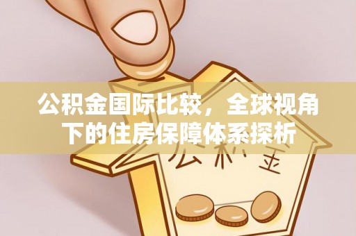 美浓公积金国际比较，全球视角下的住房保障体系探析