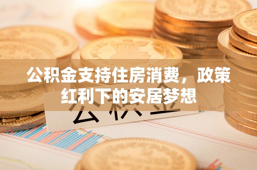 美浓公积金支持住房消费，政策红利下的安居梦想