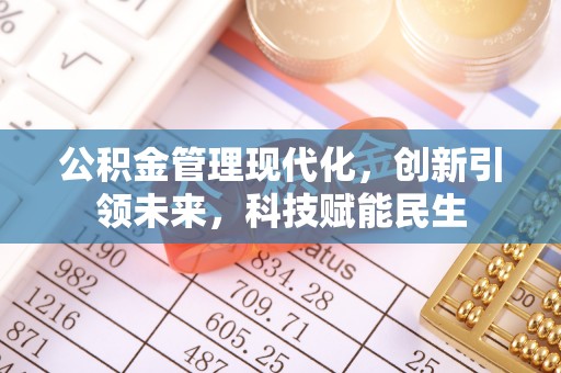美浓公积金管理现代化，创新引领未来，科技赋能民生