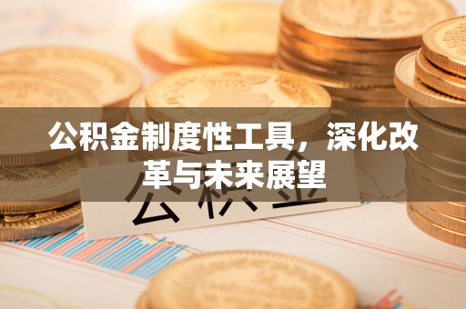 美浓公积金制度性工具，深化改革与未来展望