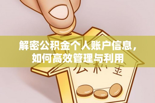 美浓解密公积金个人账户信息，如何高效管理与利用