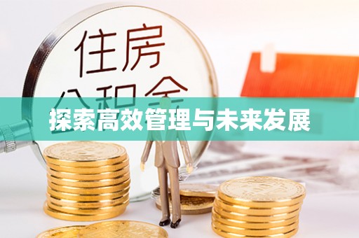 美浓探索高效管理与未来发展