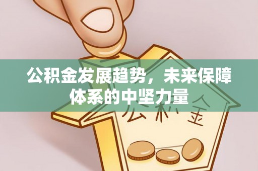 美浓公积金发展趋势，未来保障体系的中坚力量