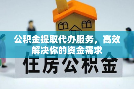 美浓公积金提取代办服务，高效解决你的资金需求