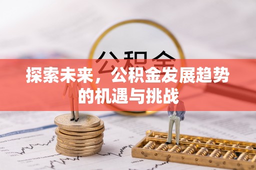美浓探索未来，公积金发展趋势的机遇与挑战