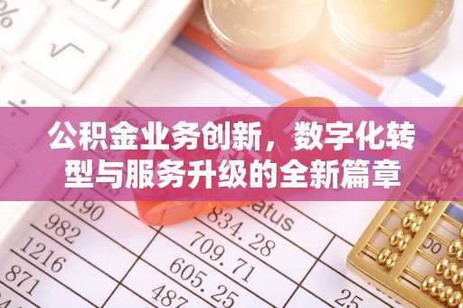 美浓公积金业务创新，数字化转型与服务升级的全新篇章