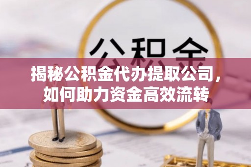 美浓揭秘公积金代办提取公司，如何助力资金高效流转