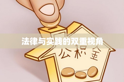 美浓法律与实践的双重视角
