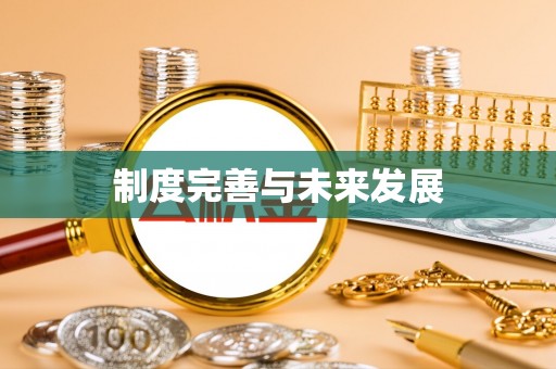 美浓制度完善与未来发展