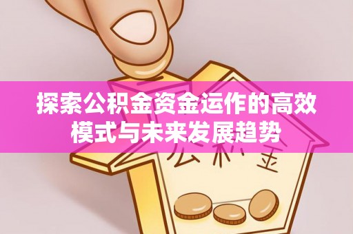 美浓探索公积金资金运作的高效模式与未来发展趋势