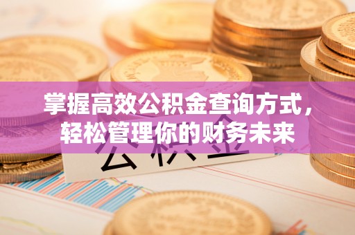 美浓掌握高效公积金查询方式，轻松管理你的财务未来