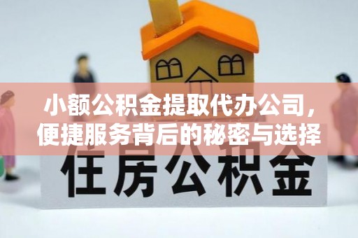 美浓小额公积金提取代办公司，便捷服务背后的秘密与选择指南