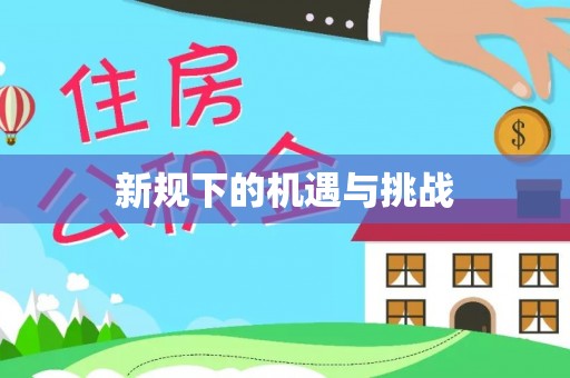 美浓新规下的机遇与挑战