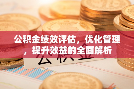 美浓公积金绩效评估，优化管理，提升效益的全面解析