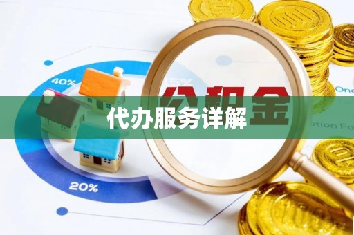 美浓代办服务详解