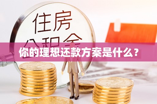 美浓你的理想还款方案是什么？