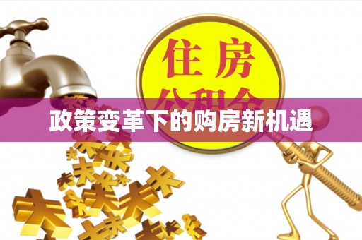 美浓政策变革下的购房新机遇