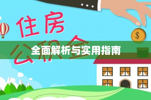 美浓全面解析与实用指南
