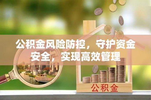 美浓公积金风险防控，守护资金安全，实现高效管理