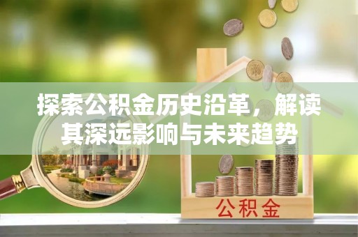美浓探索公积金历史沿革，解读其深远影响与未来趋势