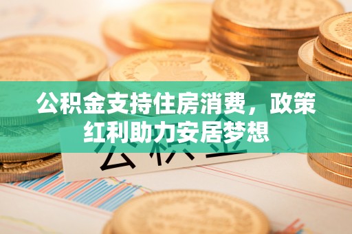 美浓公积金支持住房消费，政策红利助力安居梦想