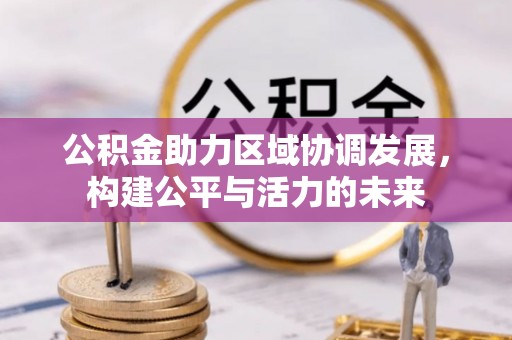 美浓公积金助力区域协调发展，构建公平与活力的未来