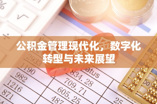 美浓公积金管理现代化，数字化转型与未来展望