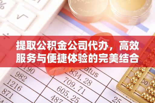 美浓提取公积金公司代办，高效服务与便捷体验的完美结合