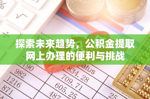 美浓探索未来趋势，公积金提取网上办理的便利与挑战