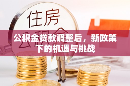 美浓公积金贷款调整后，新政策下的机遇与挑战