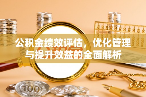美浓公积金绩效评估，优化管理与提升效益的全面解析
