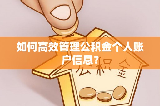 美浓如何高效管理公积金个人账户信息？