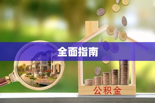 美浓全面指南