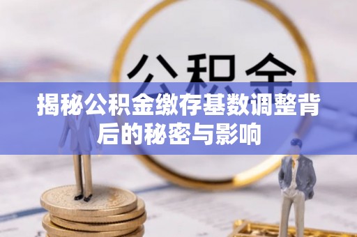 美浓揭秘公积金缴存基数调整背后的秘密与影响