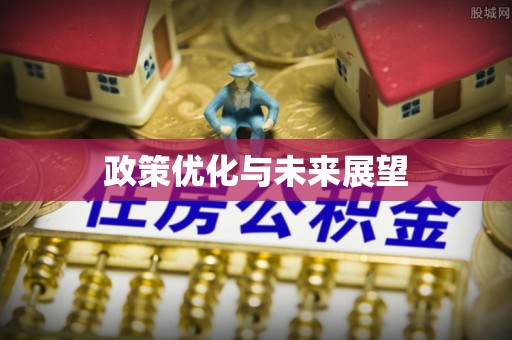 美浓政策优化与未来展望