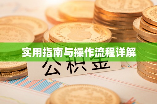 美浓实用指南与操作流程详解