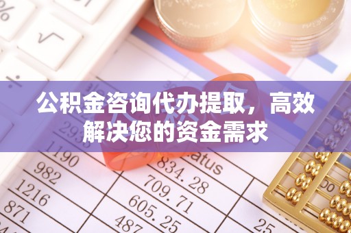美浓公积金咨询代办提取，高效解决您的资金需求