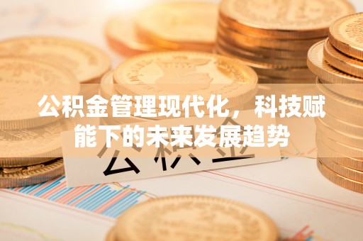 美浓公积金管理现代化，科技赋能下的未来发展趋势