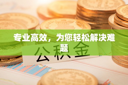 美浓专业高效，为您轻松解决难题