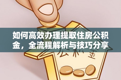 美浓如何高效办理提取住房公积金，全流程解析与技巧分享