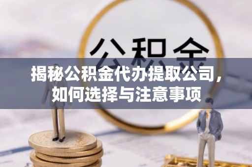 美浓揭秘公积金代办提取公司，如何选择与注意事项