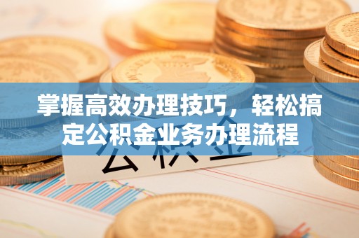 美浓掌握高效办理技巧，轻松搞定公积金业务办理流程