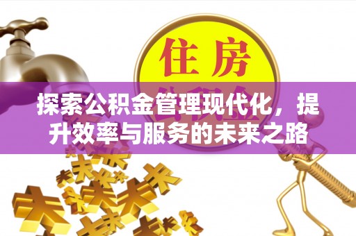 美浓探索公积金管理现代化，提升效率与服务的未来之路